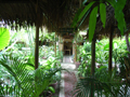 gal/01 - Phnom Penh/_thb_RIMG1992.jpg